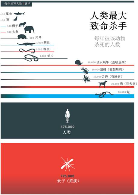 《血战钢锯岭》的背后，致死性暴力根植人类基因