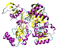 Nature：揭示microRNA沉默基因机制