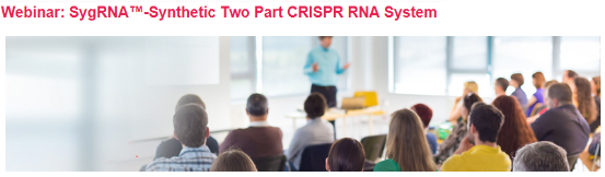 科学研究必备工具之高效基因剪刀CRISPR