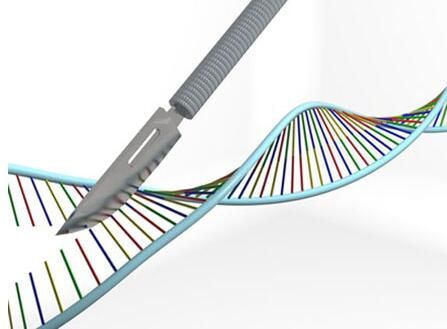 CRISPR基因编辑技术或有望治疗癌症和HIV等顽疾