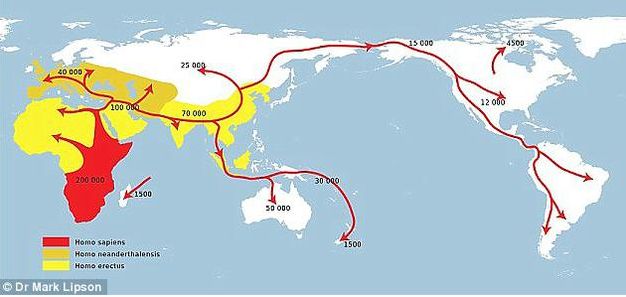 基因突变帮助早期人类适应了新的食物