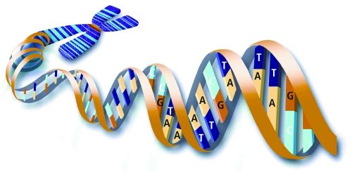 FDA&#160;首次批准直接销售给患者的基因诊断产品：针对十种疾病