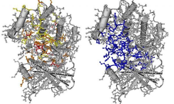 PLoS&nbsp;Comput&nbsp;Biol：重磅！新方法发现数千个与癌症相关的新基因突变！