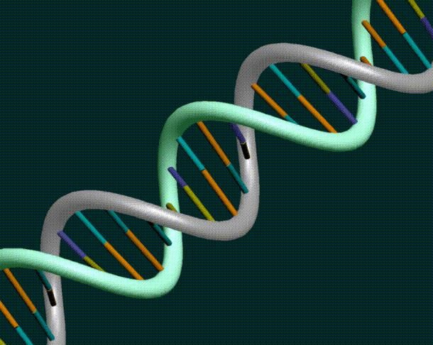 科学家如何深度破解癌症基因组的奥秘？