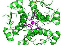 基因和蛋白质研究为蜘蛛生物学开启新时代