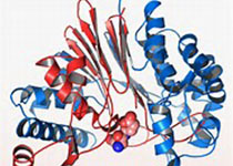 Oncotarget：科学家发现吸烟可引起癌旁正常肺组织基因组突变