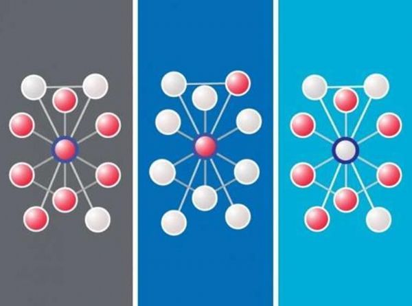 两篇Nat&nbsp;Methods：重磅！科学家成功利用基因组的社交网络寻找驱动癌症发生的基因突变