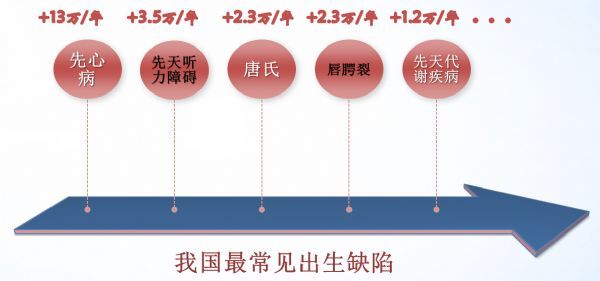 全面布局出生缺陷三级预防——天昊诊断出席第一届基因健康大会