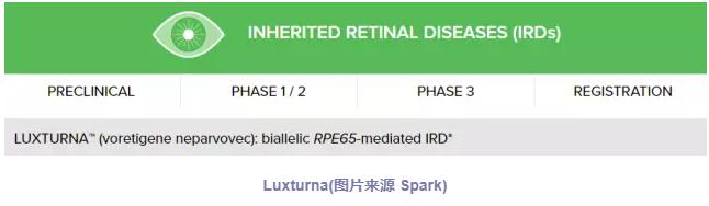 FDA批准美国首款基因疗法上市&nbsp;遗传性失明患者或将重见光明