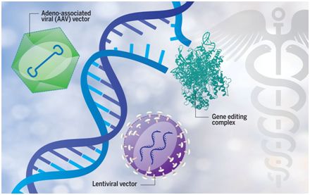 Science：基因疗法进入成熟阶段