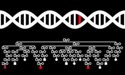 PLoS&#160;Genet：参与DNA损伤修复的基因突变导致多发性硬化的发生