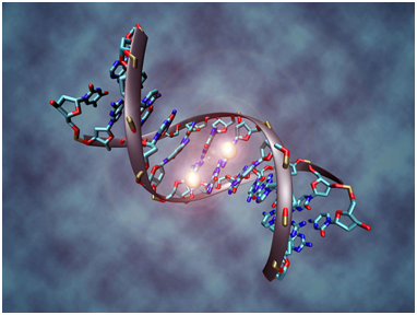 Science：任性！基因组中的一些CpG故意地发生半甲基化