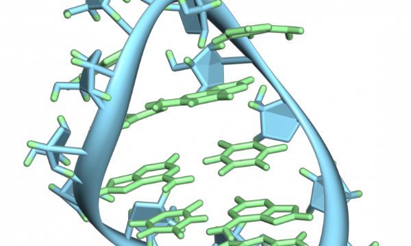 科学家发现：癌症治疗药物反应的关键，曾被认为是垃圾的基因序列