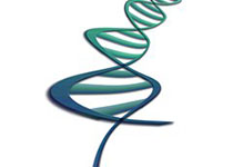 科学家破译蓝鲸基因组