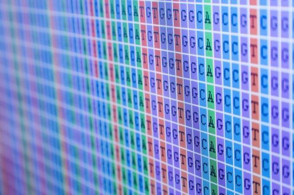 如何利用基因图谱分析来改善体外受精技术的成功率？