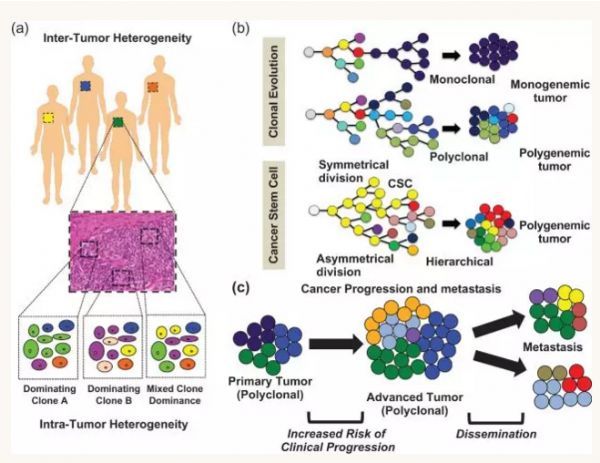 综述&nbsp;|&nbsp;基于二代测序对癌症基因组异质性的研究推动癌症的精准治疗