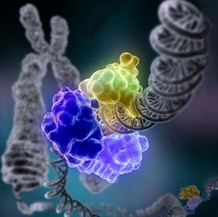 科学家如何聚焦关键癌基因研究&nbsp;解读癌症发病机制及新型疗法？