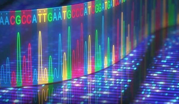 科学家有望成功清除基因疗法屏障&nbsp;未来或将成功治疗多种人类疾病