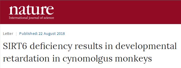 NATURE重大突破：世界首例长寿基因编辑猴模型在中科院诞生