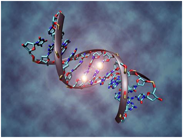 Science：重大发现！参与人细胞中基因调节的DNA甲基化也可是数字化的和随机的