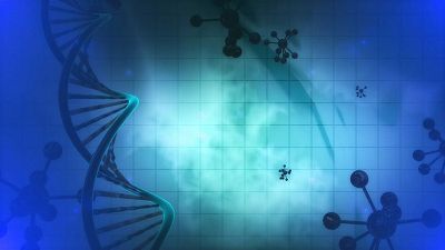 Nat&#160;Microbiol：CRISPR筛选技术能够找到抵抗黄病毒感染的关键基因