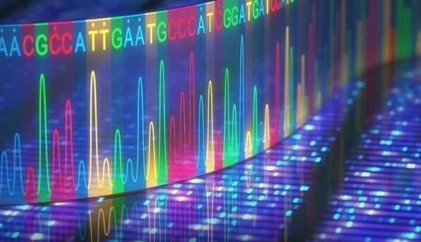 科学家们如何利用基因疗法来治疗多种人类疾病？