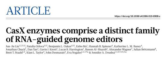 新春《自然》重磅：CRISPR基因组编辑工具再添新丁