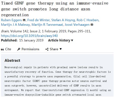 Brain：限时GDNF基因疗法有望治疗近端神经病变