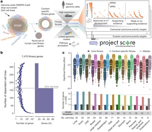 Nature：大规模CRISPR/Cas9筛选鉴定出600个癌症基因靶标