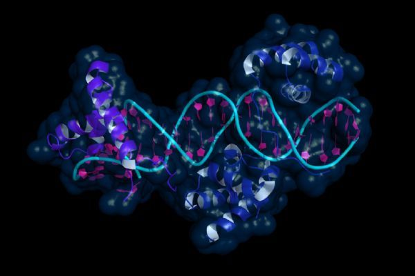 Science深度解读：隐藏的基因控制层影响着从癌症到记忆的一切