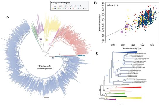 bioRxiv：从1966年保存的淋巴结样本中提取出HIV-1基因组