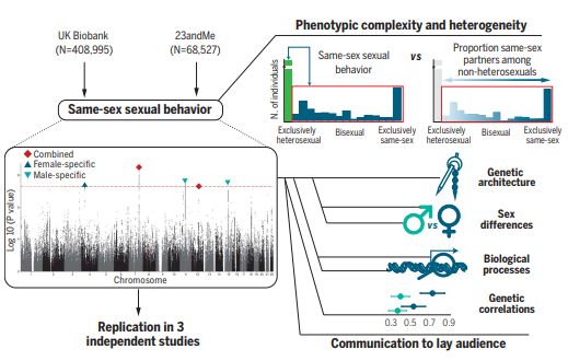 Science：到底存不存在同性恋基因？