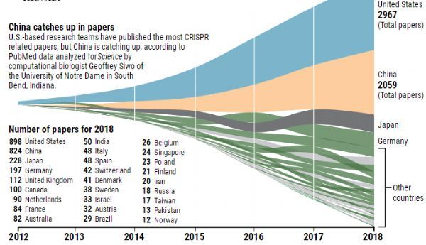 Science：随着CRISPR技术的革命，中国成为基因组编辑领域的世界领导者了么？