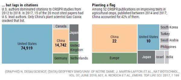 Science：随着CRISPR技术的革命，中国成为基因组编辑领域的世界领导者了么？