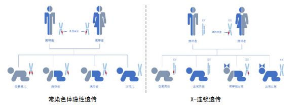 天昊基因&#160;·&#160;启动1%优生工程&#160;扩展性遗传病携带者筛查&#160;助力优生一级预防