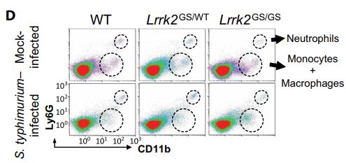 Science子刊：Lrrk2等位基因在小鼠的微生物感染过程中以性别依赖的方式调节炎症