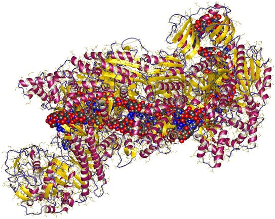 Mol&#160;Cell：基因编辑大牛张锋新力作！利用Cas13开发出经编程后杀死人细胞中RNA病毒的新技术---CARVER