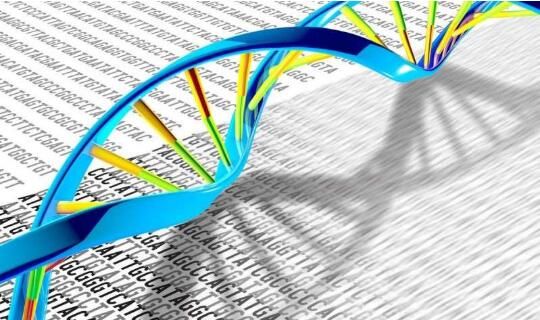 Genome&#160;Biol：DNA破裂或会重新调节癌症基因的控制机制