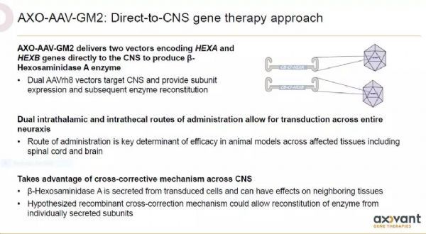 缓解致命神经疾病进展，基因疗法临床结果积极
