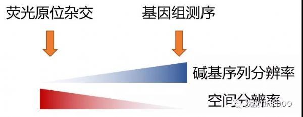 Nature重大发现：癌基因竟不在染色体上？第一作者吴思涵亲身解读！